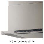 カラー：ウォームシルバー