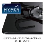 ガラスコート：クリアパールブラック