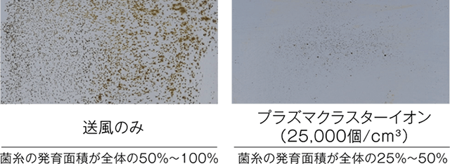 クリーンな状態をキープ